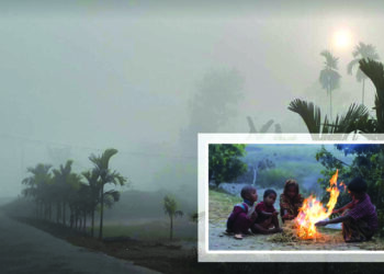 প্রকৃতির স্নিগ্ধতা থেকে জীবনযুদ্ধ