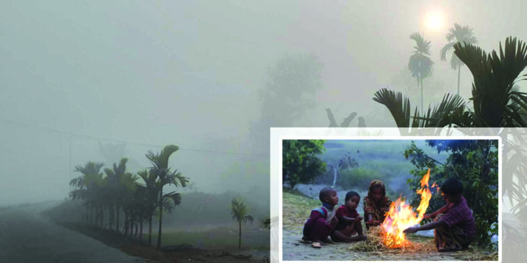 প্রকৃতির স্নিগ্ধতা থেকে জীবনযুদ্ধ