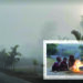 প্রকৃতির স্নিগ্ধতা থেকে জীবনযুদ্ধ