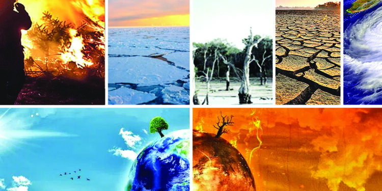 দাবানল: প্রকৃতির প্রতিশোধের নমুনা