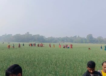 পেঁয়াজ ক্ষেতে মিলল যুবলীগ নেতার লাশ