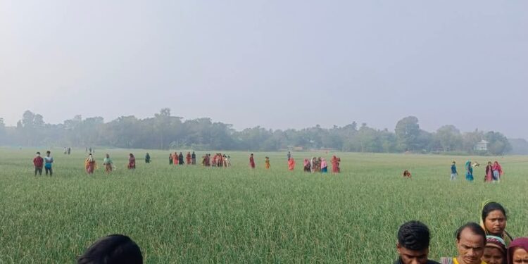 পেঁয়াজ ক্ষেতে মিলল যুবলীগ নেতার লাশ