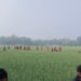 পেঁয়াজ ক্ষেতে মিলল যুবলীগ নেতার লাশ