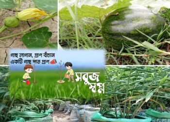 একটি আদর্শ ‘অঞ্চলভিত্তিক কৃষি পরিকল্পনা’