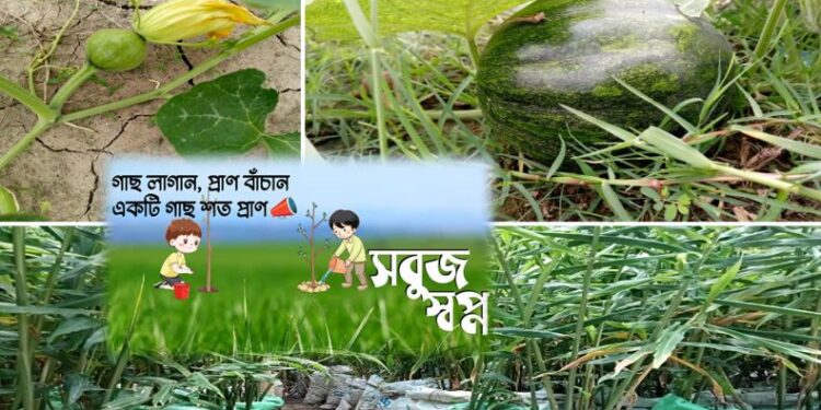একটি আদর্শ ‘অঞ্চলভিত্তিক কৃষি পরিকল্পনা’