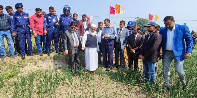 পাবনায় পেঁয়াজ চাষীদের সঙ্গে মতবিনিময়