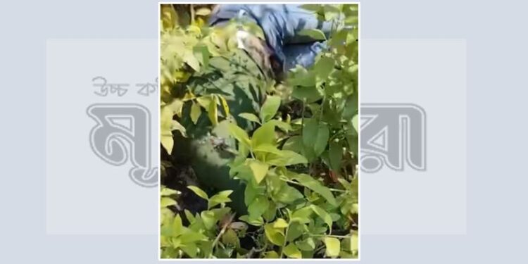 ঘাস কাটতে গিয়ে মিলল তরুণের অর্ধগলিত লাশ