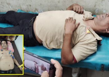 সিংগাইরে ‘মাটি ব্যবসায়ী’ চক্রের দৌরাত্ম্য