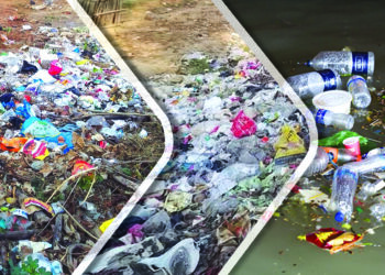 প্লাস্টিকের হাত থেকে বাঁচতেই হবে