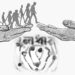 জগৎ জুড়ে ছড়িয়ে পড়ুক মানবতার আলো