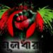 জাতির উত্থান, পতন ও মুক্তি