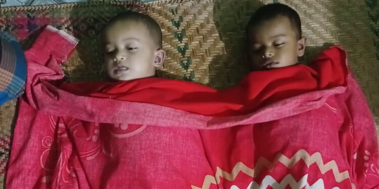 নোয়াখালীতে পুকুরে ডুবে ভাই-বোনের মৃত্যু