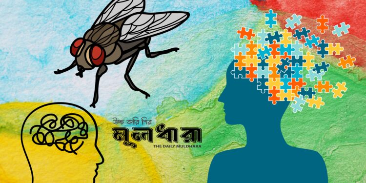 মাছির মহিমা!