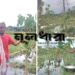 সিংগাইরে টানা বৃষ্টিতে পেঁপে চাষে ধস