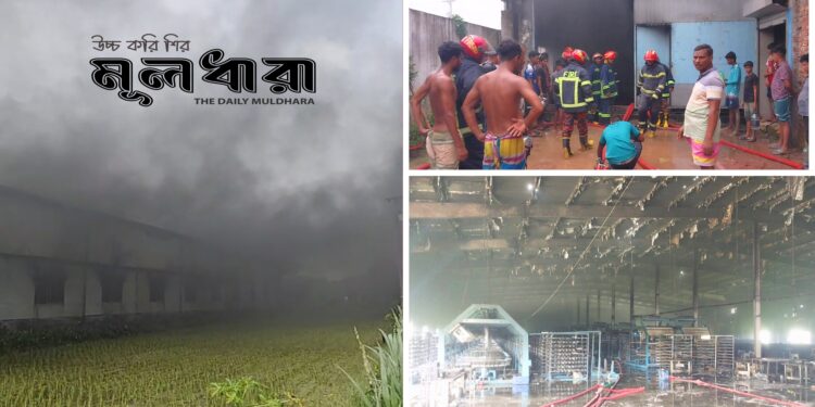 সিংগাইরে প্লাস্টিক কারখানায় ভয়াবহ অগ্নিকাণ্ড