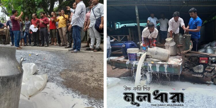 পাবনায় নকল দুধ তৈরি, অর্থ-কারাদণ্ড