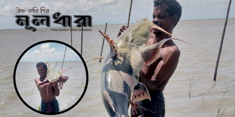 ‘পদ্মা আমাকে সৌভাগ্য উপহার দিয়েছে’