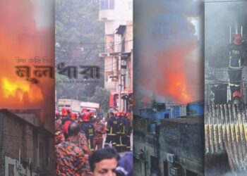 আর কত প্রাণ, কত অবহেলা?