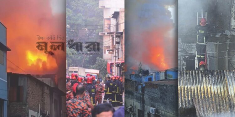 আর কত প্রাণ, কত অবহেলা?