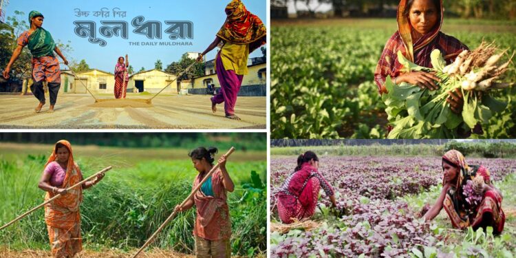 কৃষিতে নারী : অবদান আছে, স্বীকৃতি নেই