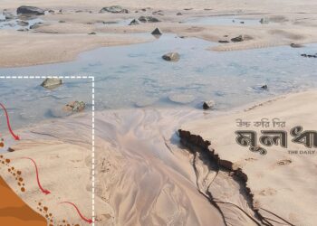 সেডিমেন্টের দূষণ ও এর বহুমুখী ব্যবহার