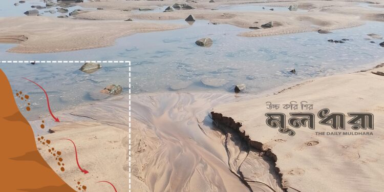 সেডিমেন্টের দূষণ ও এর বহুমুখী ব্যবহার