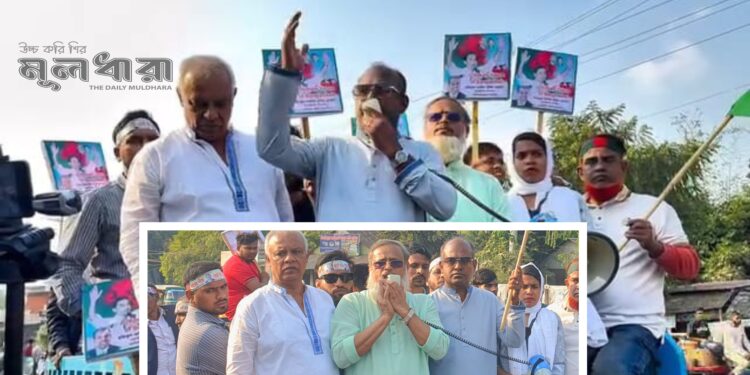 রায়পুরায় বিএনপির প্রার্থী পরিবর্তনের দাবি