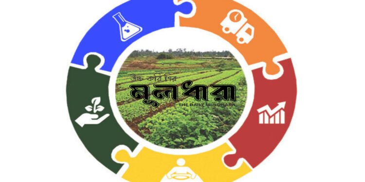 ভ্যালু চেইন : কৃষিপণ্যে ন্যায্যতা নিশ্চিত