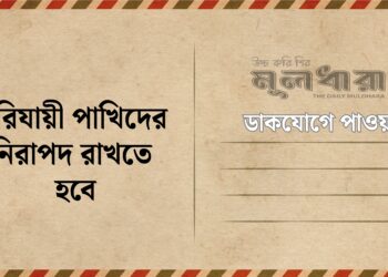 পরিযায়ী পাখিদের নিরাপদ রাখতে হবে