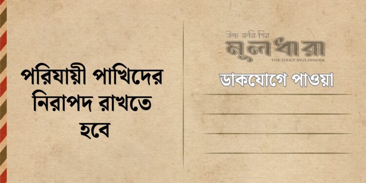 পরিযায়ী পাখিদের নিরাপদ রাখতে হবে