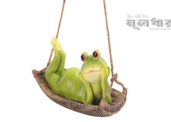 প্রাণিকুলের নিদ্রাভ্যাস কেমন?