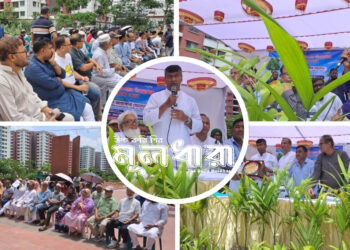 রুয়াপ ১৮ নম্বর সেক্টরে বৃক্ষরোপণ কর্মসূচি