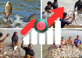 মৎস্যশক্তি বদলে দিচ্ছে দেশের অর্থনীতি