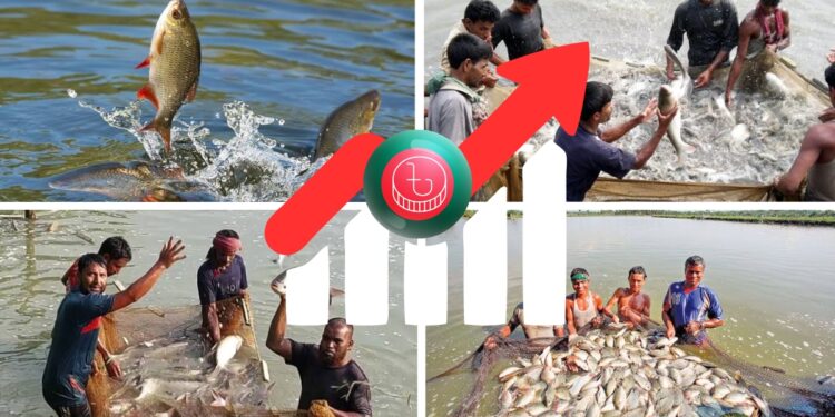 মৎস্যশক্তি বদলে দিচ্ছে দেশের অর্থনীতি